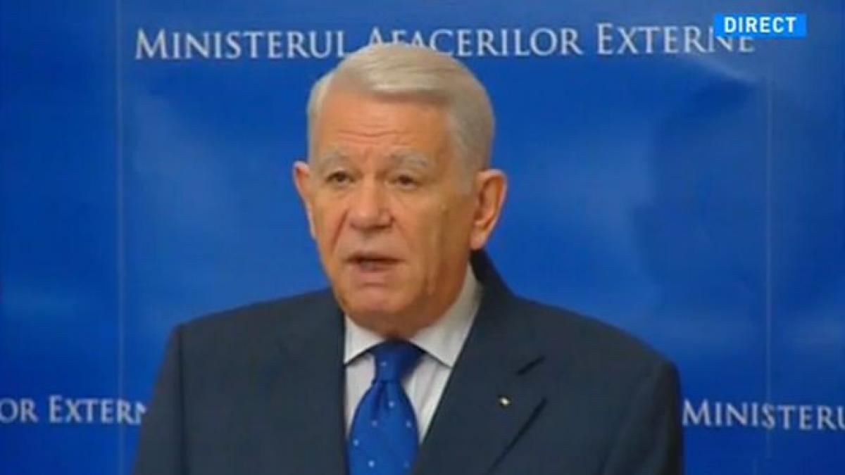 ce decizii a luat mae privind votul din diaspora