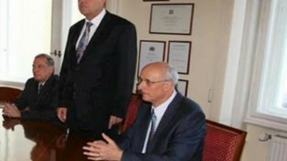 deziluzia optica muti si castigi