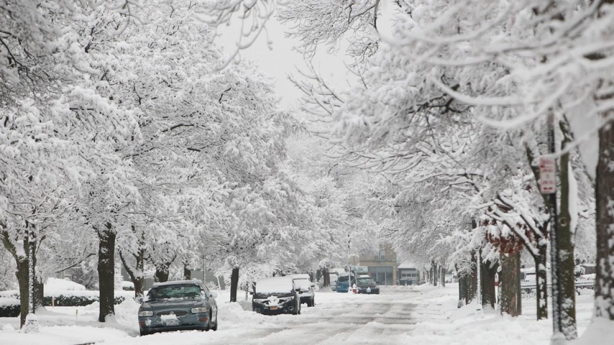 meteorologii au anuntat zapada de un metru in aceasta zona a tarii va fi o furtuna de zapada