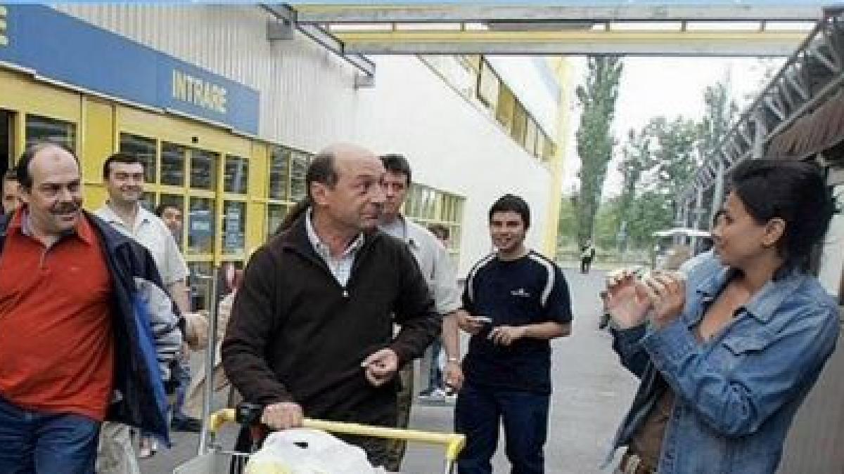 deziluzia optica pe ape si mai tulburel