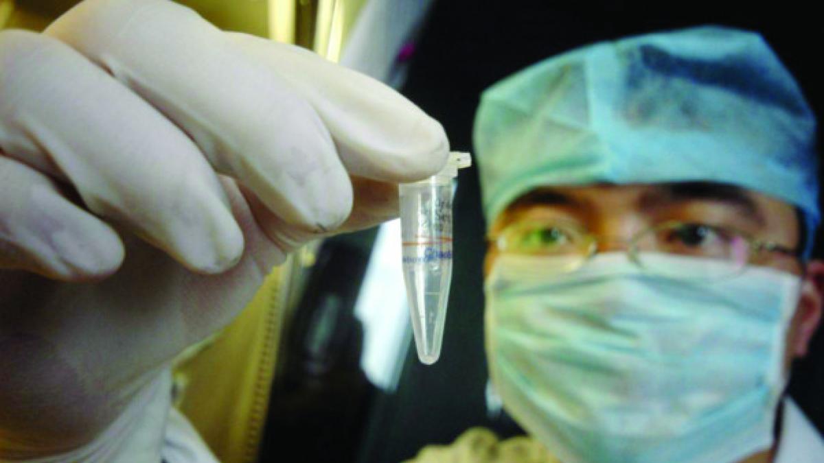 organizatia mondiala a sanatatii anunta aparitia unor cazuri de ciuma in madagascar