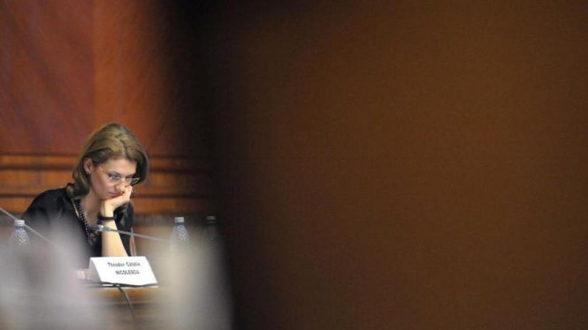 propunere surpriza pentru sefia pnl