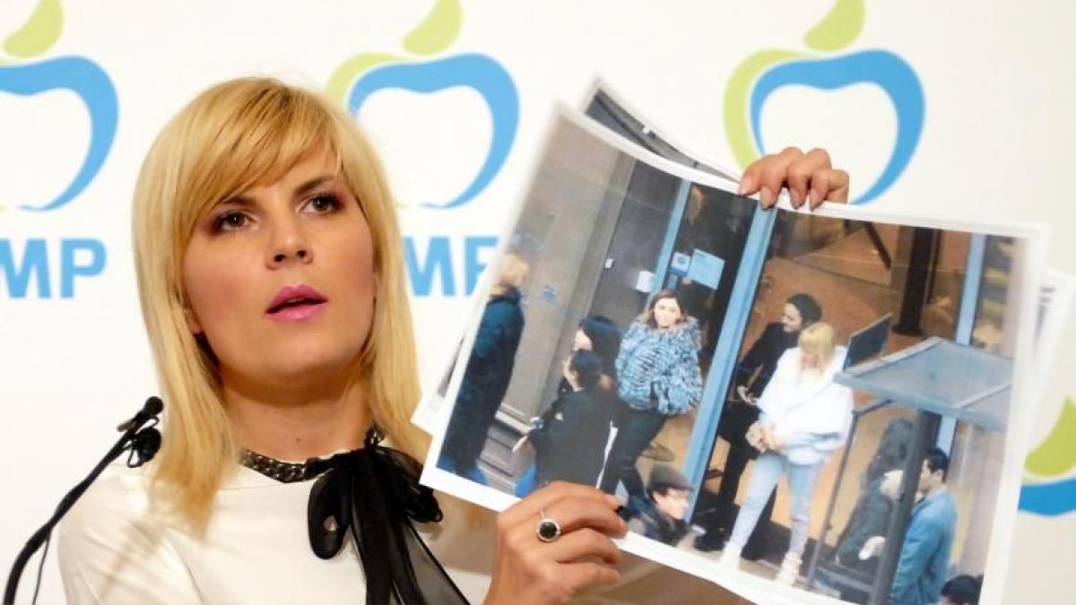 udrea se scuza desi nimeni nu o acuza mesajul postat pe facebook despre dosarul alinei bica