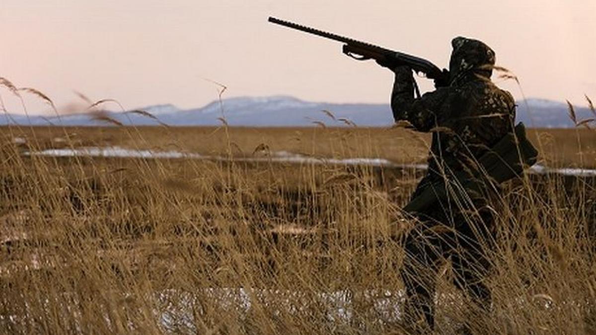 deputatii dezbat noua lege a vanatorii