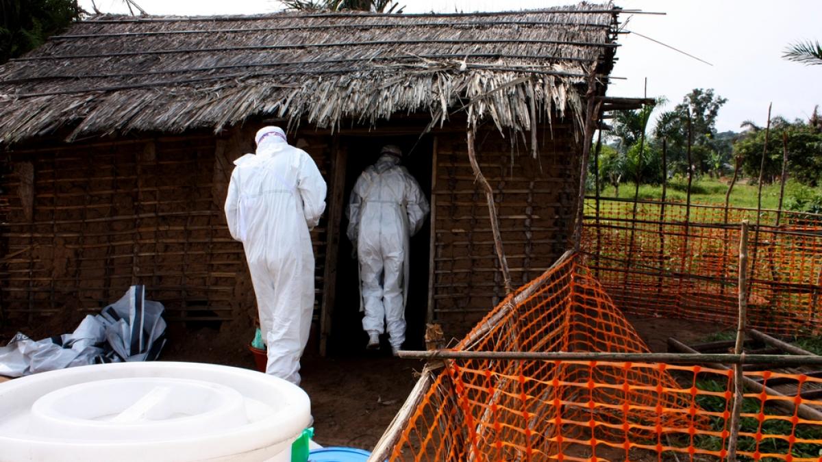 epidemia de ebola in guineea se stabilizeaza