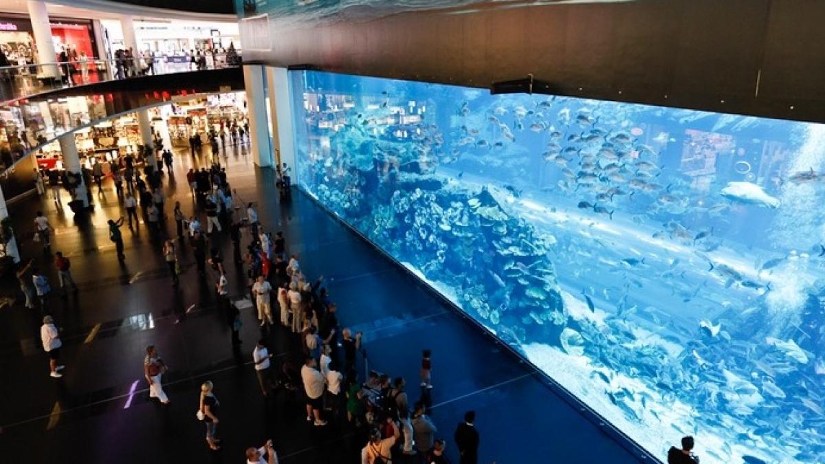 mii de atractii intr una singura descopera le in cadrul vacantei de iarna