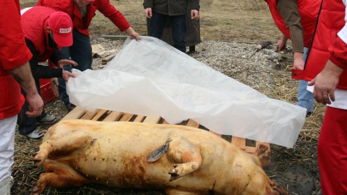 caz incredibil la arad o femeie de 61 de ani a murit si alti 40 de oameni au ajuns la spital cu