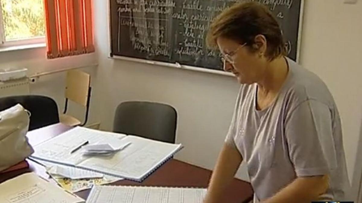 daily income cati bani face educatia