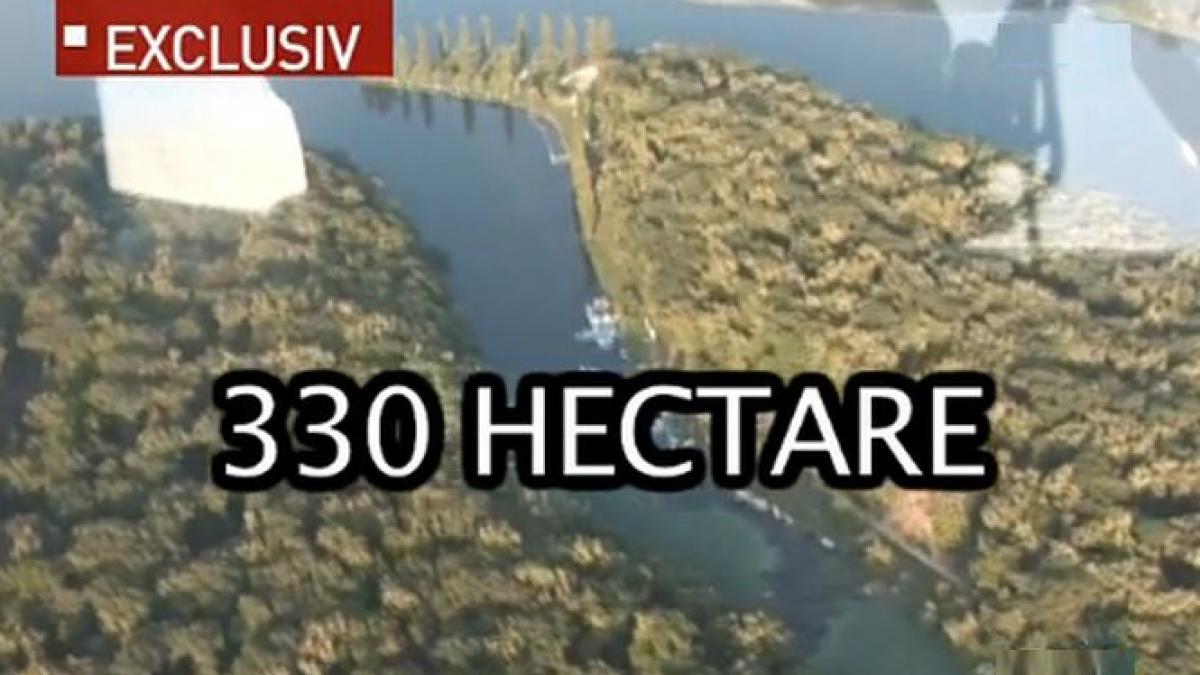 milionarul lui basescu 330 de hectare din padurea statului