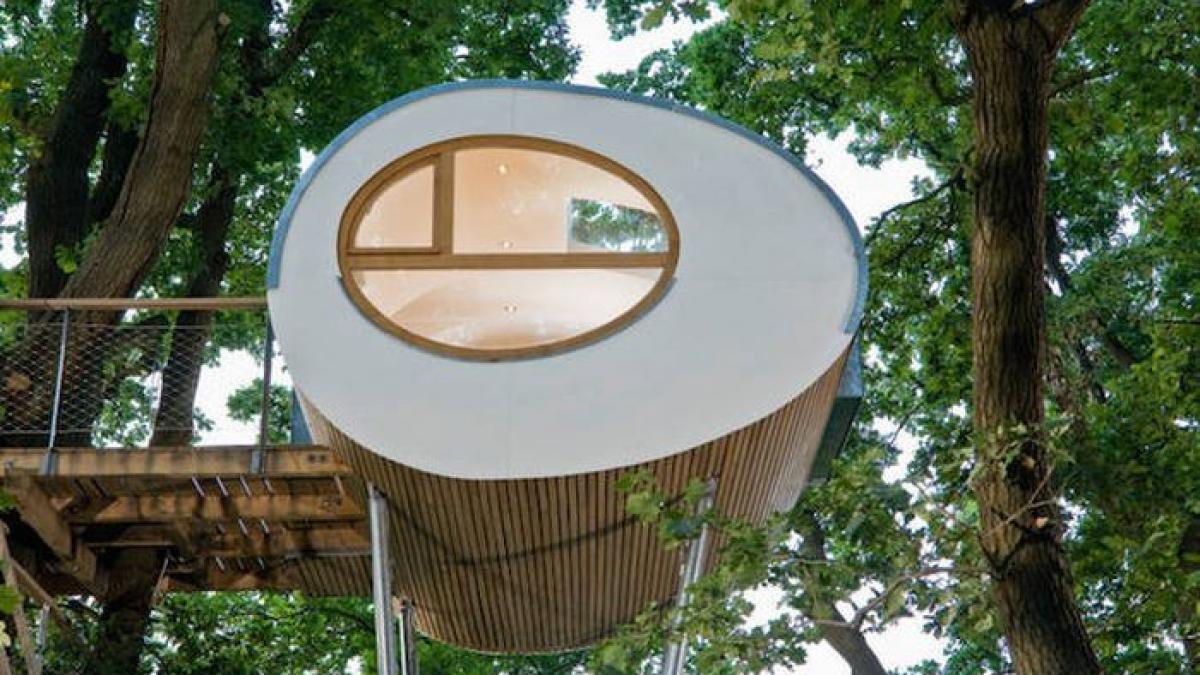 surpriza pe care au avut o copiii cand au vazut casa din copac ce a reusit sa construiasca un neamt