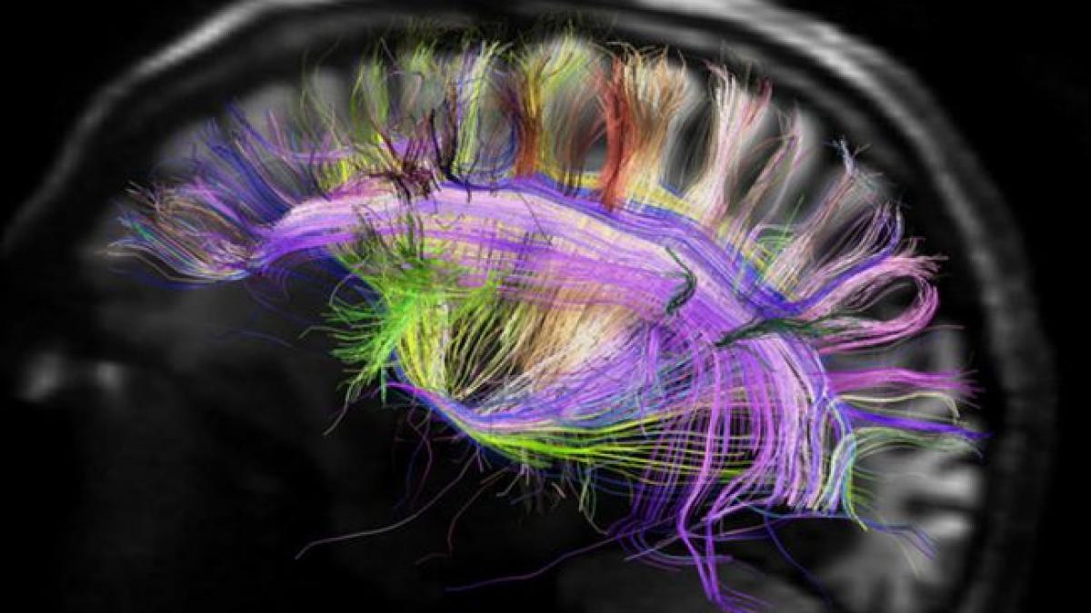 studiul care arata ce se intampla cu inteligenta populatiei de pe terra este alarmant