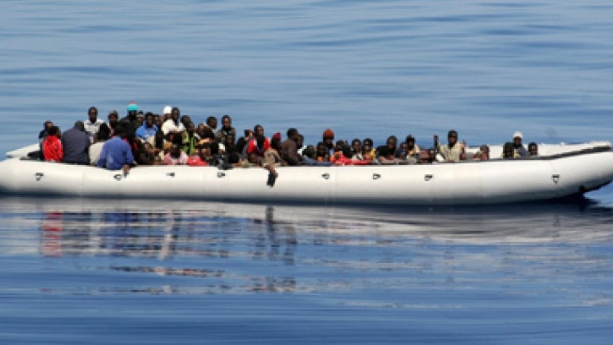 oim aproximativ 5 000 de refugiati au fost ucisi in 2014