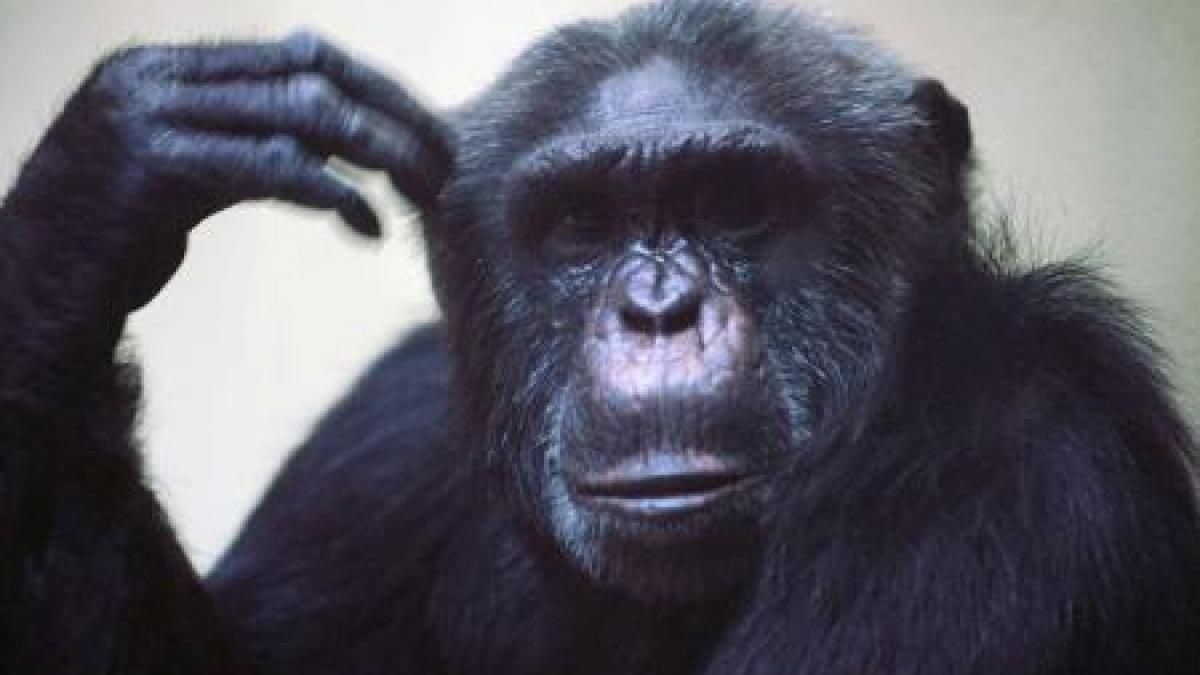 proces neobisnuit intr un tribunal din new york la ce verdict s a ajuns