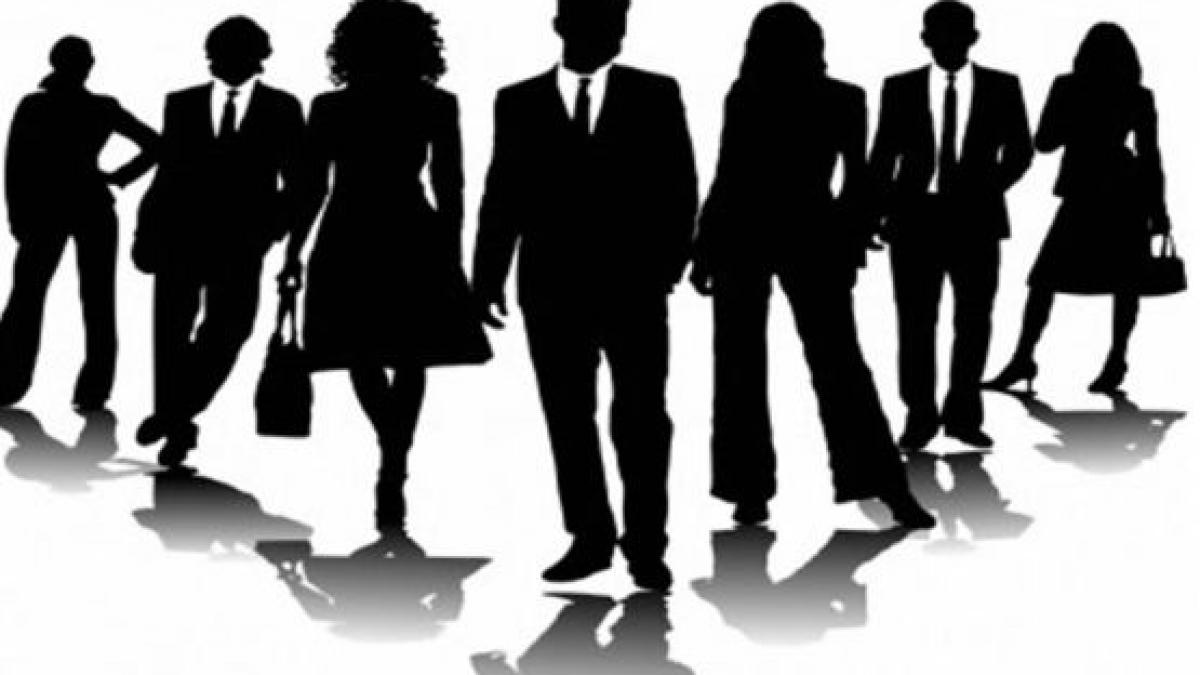 subiectiv guvernul din umbra al pnl cine se bate pentru portofoliile ministeriale