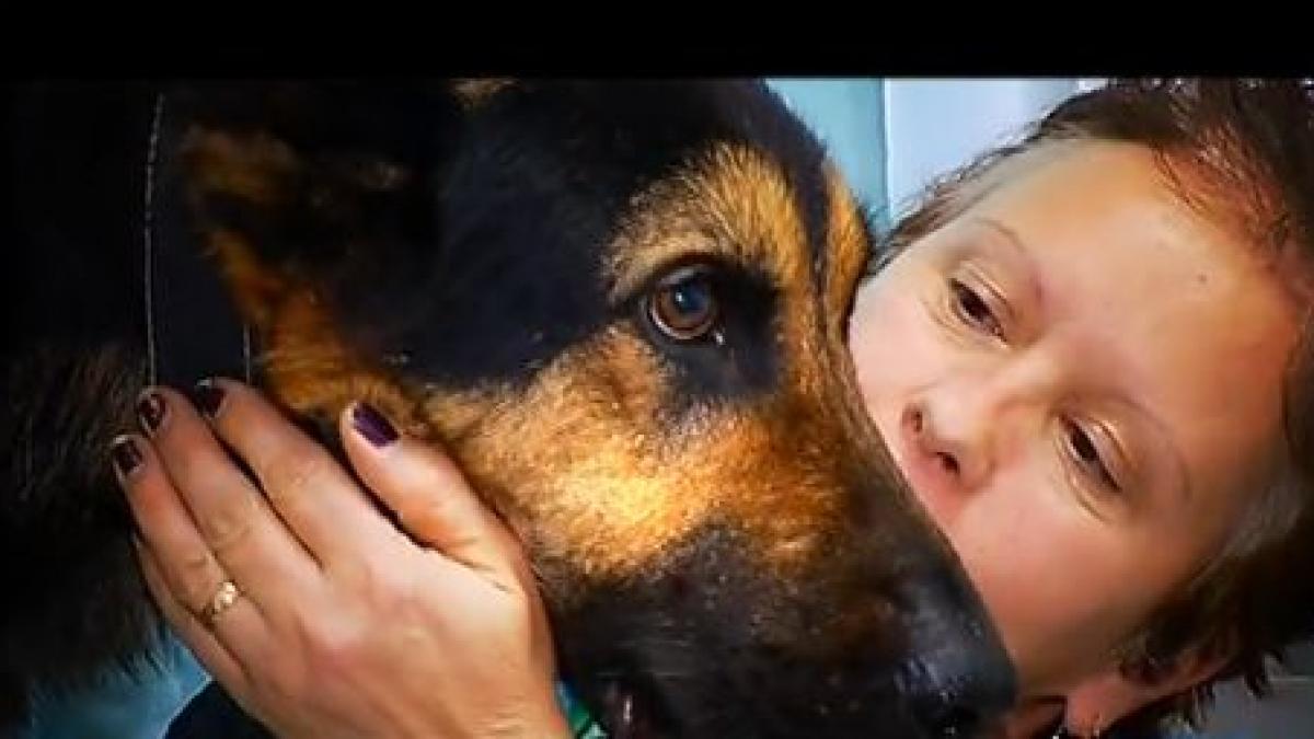 max eroul de razboi are nevoie de ajutorul nostru