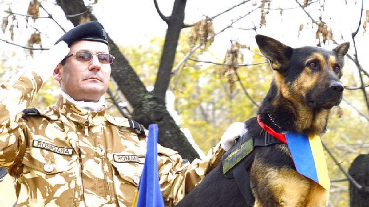 max eroul de razboi are nevoie de ajutorul nostru sa facem o lege pentru el