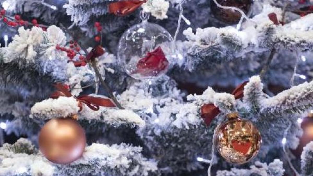 vesti bune cum va fi vremea de craciun