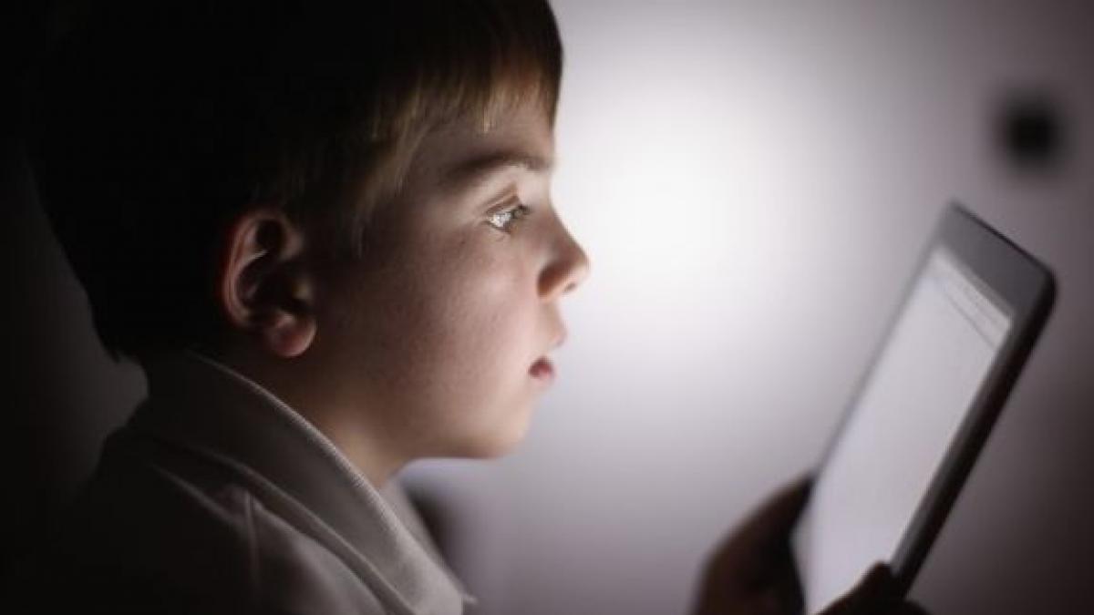 eurostat aproape 40 dintre romani nu au folosit niciodata internetul