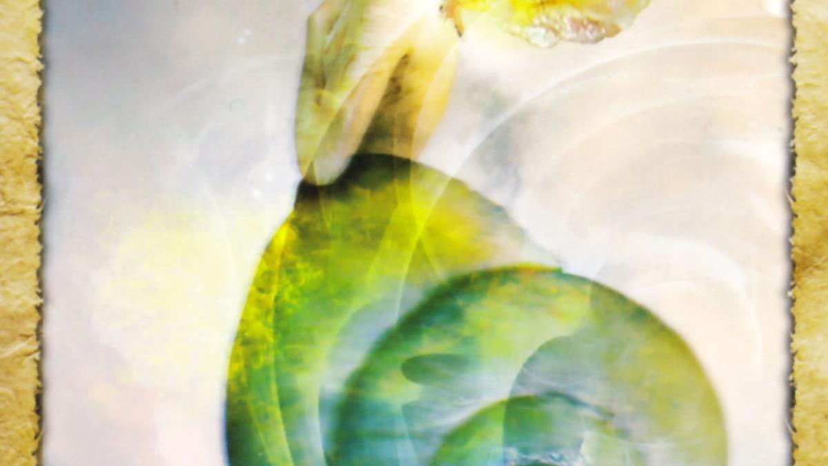 oracolscop astrocafe ro mesajele enchanted map pentru saptamana 15 21 decembrie