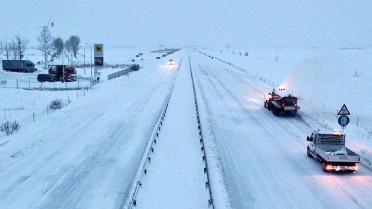 cine va plati pretul pentru miscarea cnadnr pentru ce se vor plati acum 31 milioane de euro