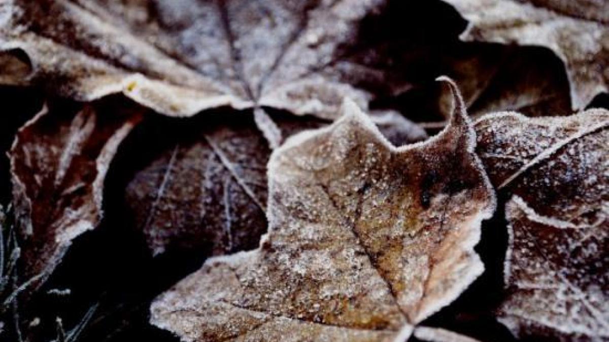 cum va fi vremea joi si vineri vezi aici prognoza meteo