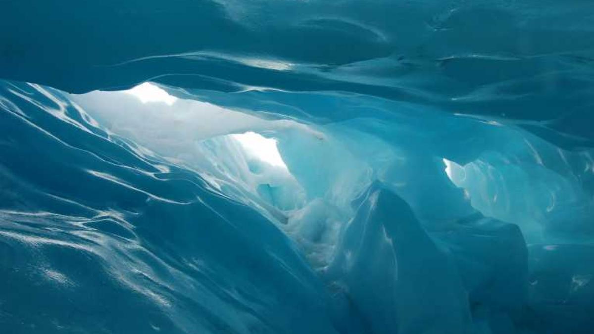 descoperire fabuloasa in antarctica ce se afla sub calota glaciara sunt vechi de 500 de milioane de