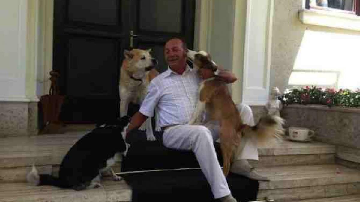 deziluzia optica vine politia si mi ia toata sticla