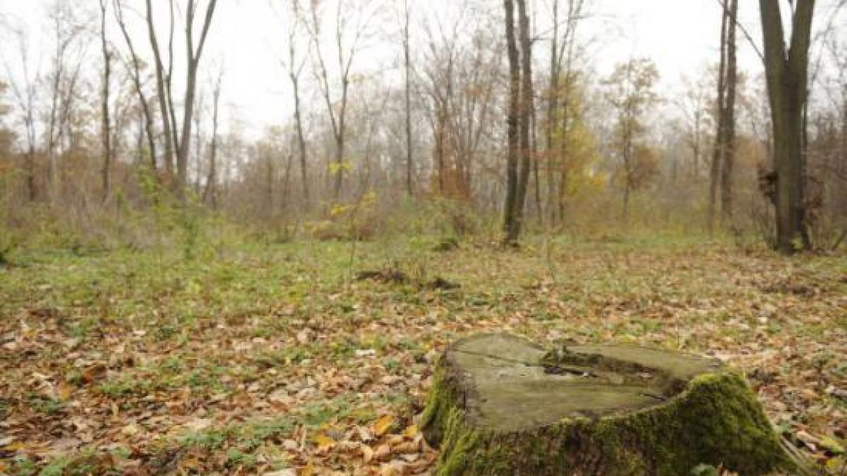 un nou scandal privind retrocedari ilegale