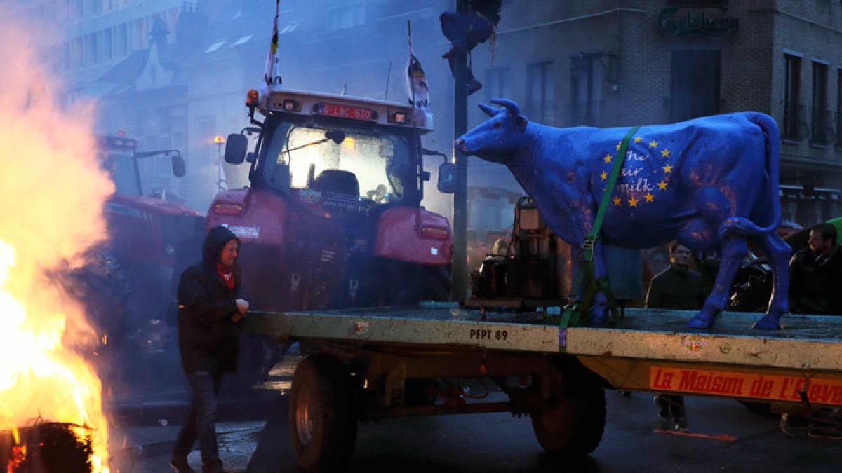 proteste ample anti tafta in fata consiliul european din bruxelles