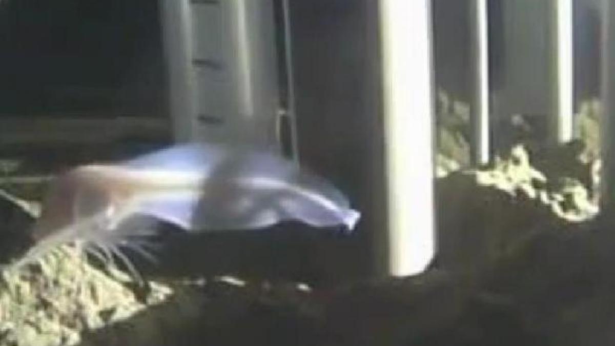 ce au descoperit cercetatorii in groapa marianelor este o premiera pentru stiinta