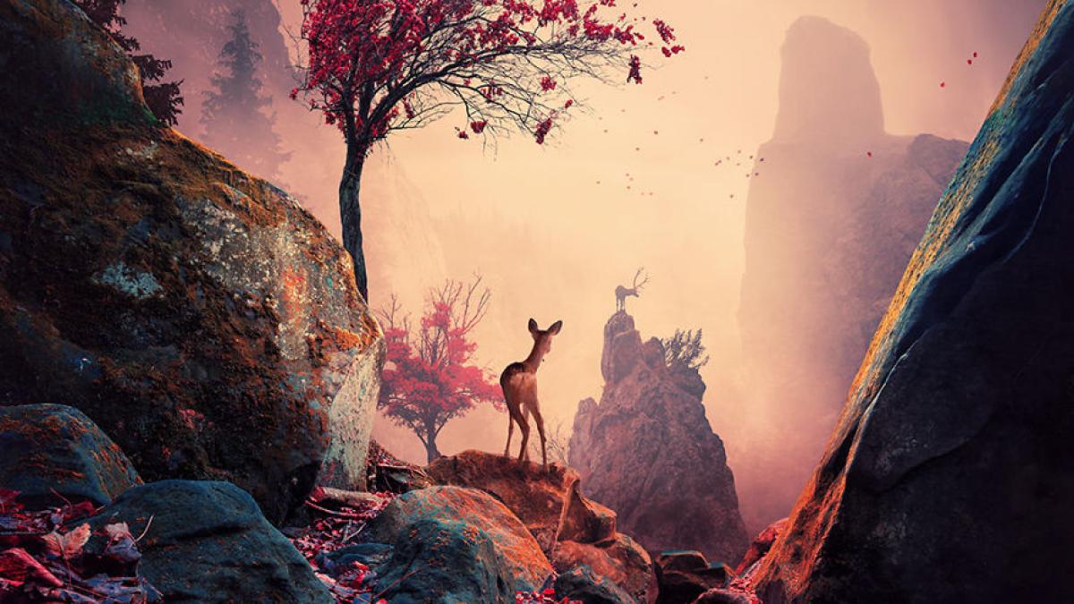 pozele incrdibile ale unui fotograf roman fac inconjurul lumii lumea povestilor din visele tale