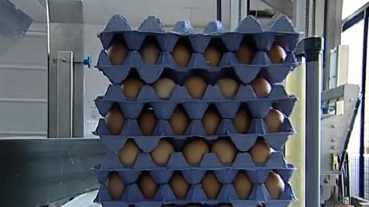 zeci de mii de oua stricate vandute in prag de sarbatori