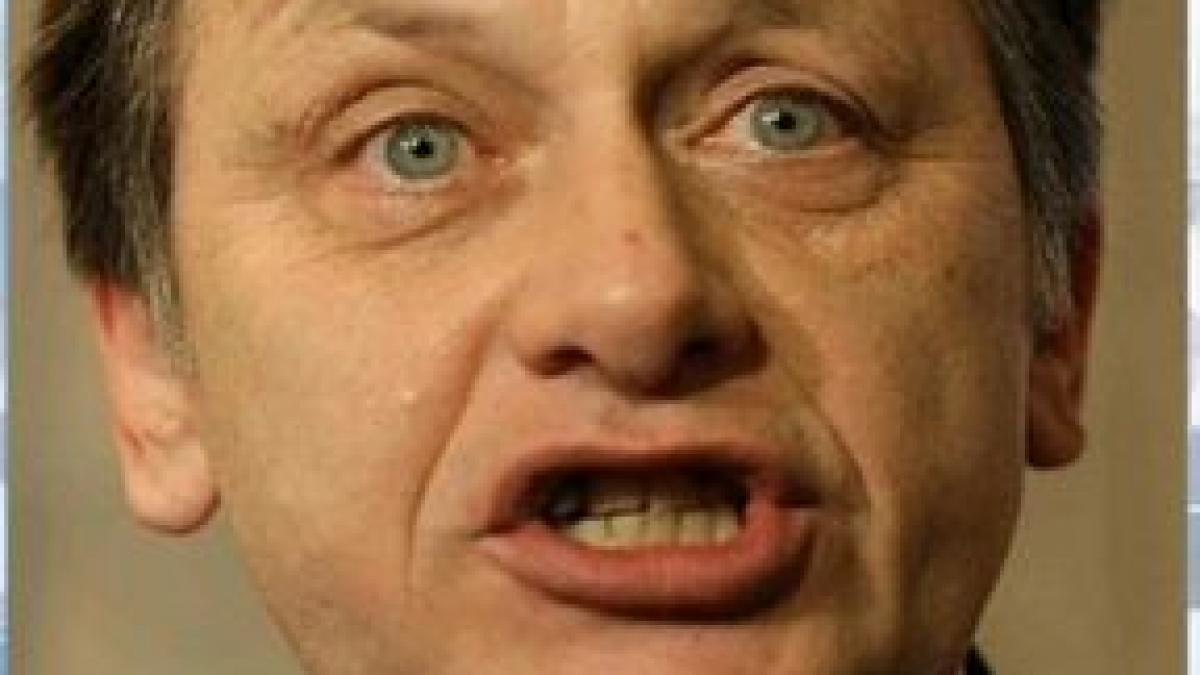 deziluzia optica sarbatori adormite