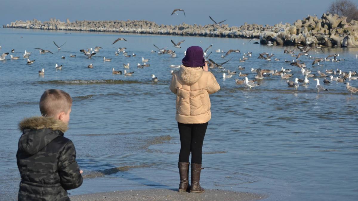 surpriza pentru turistii aflati la malul marii ce au gasit pe plaja a fost un cadou neasteptat