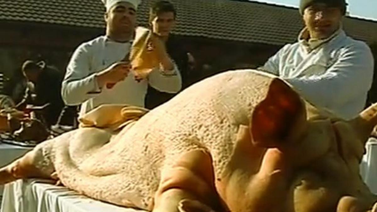 numai de bine cum combatem mancarurile grase