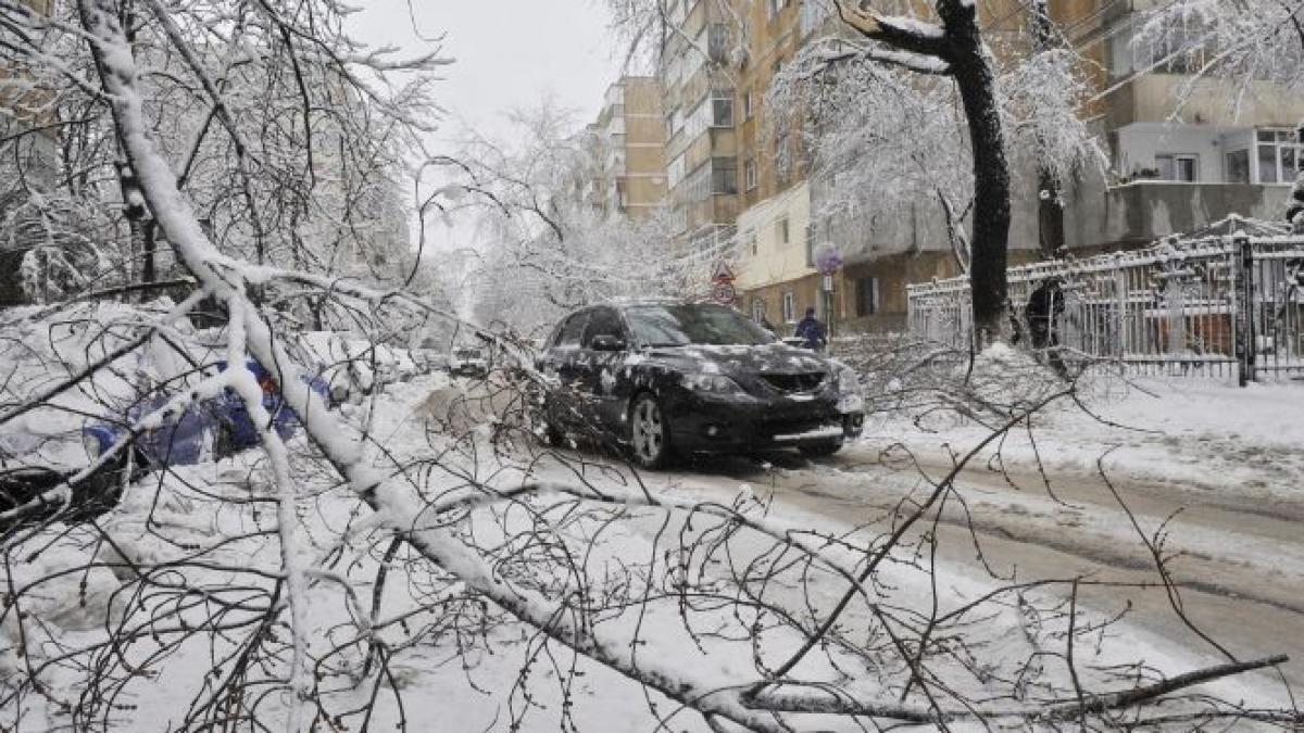 aproape 30 de masini avariate de copacii cazuti in ultimele ore in bucuresti