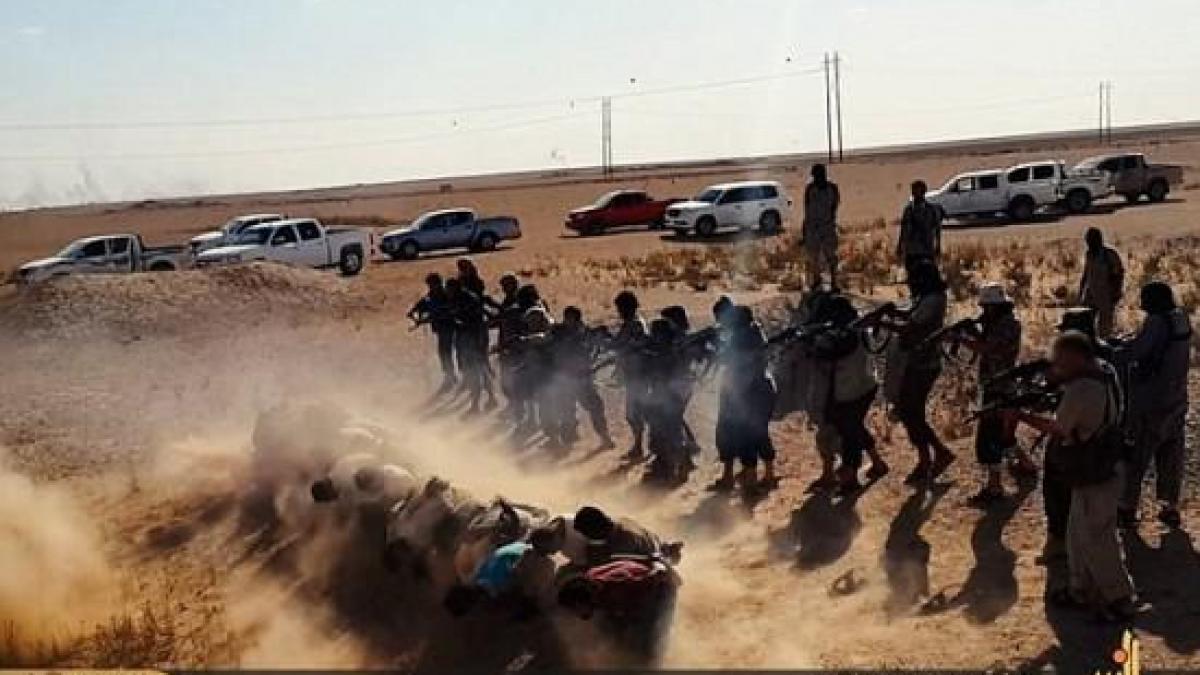 indemnam toate statele sa ne urmeze exemplul moscova a introdus gruparile stat islamic si frontul