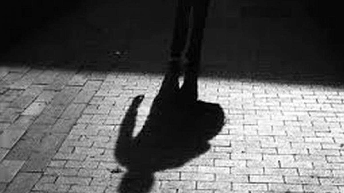 vicepresedintii cj arad spun ca sunt tintele unor criminali