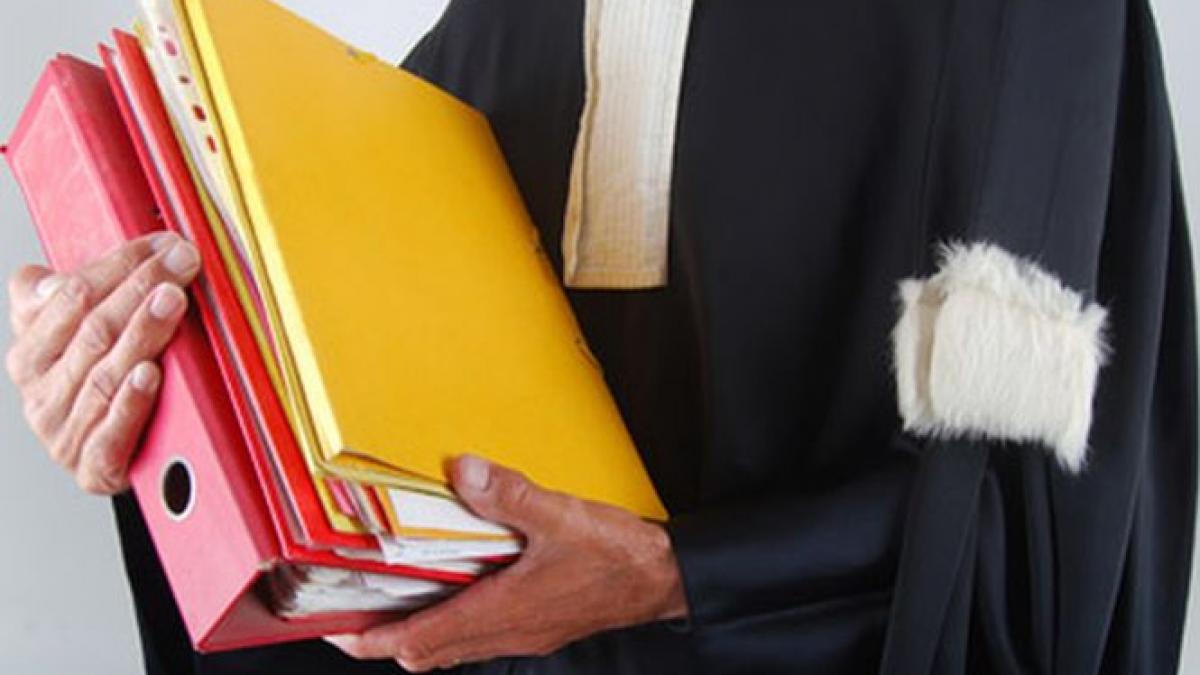 dosarele de care se tem basescu si udrea