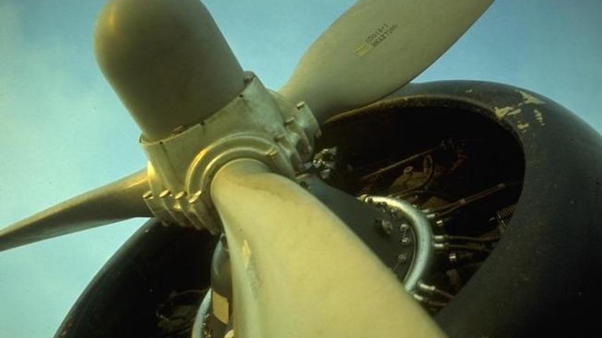 o fetita a supravietuit unui accident aviatic in kentucky si a plecat sa caute ajutor