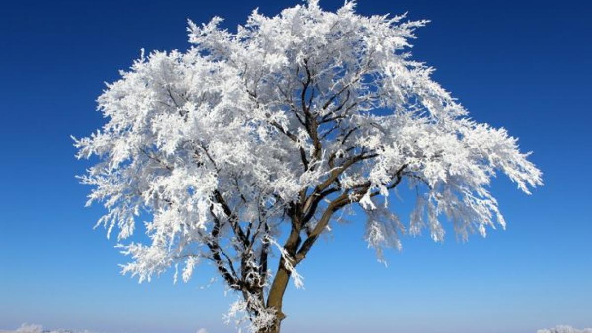 de maine vine gerul in toata tara temperaturile vor cobori chiar si sub 25 de grade