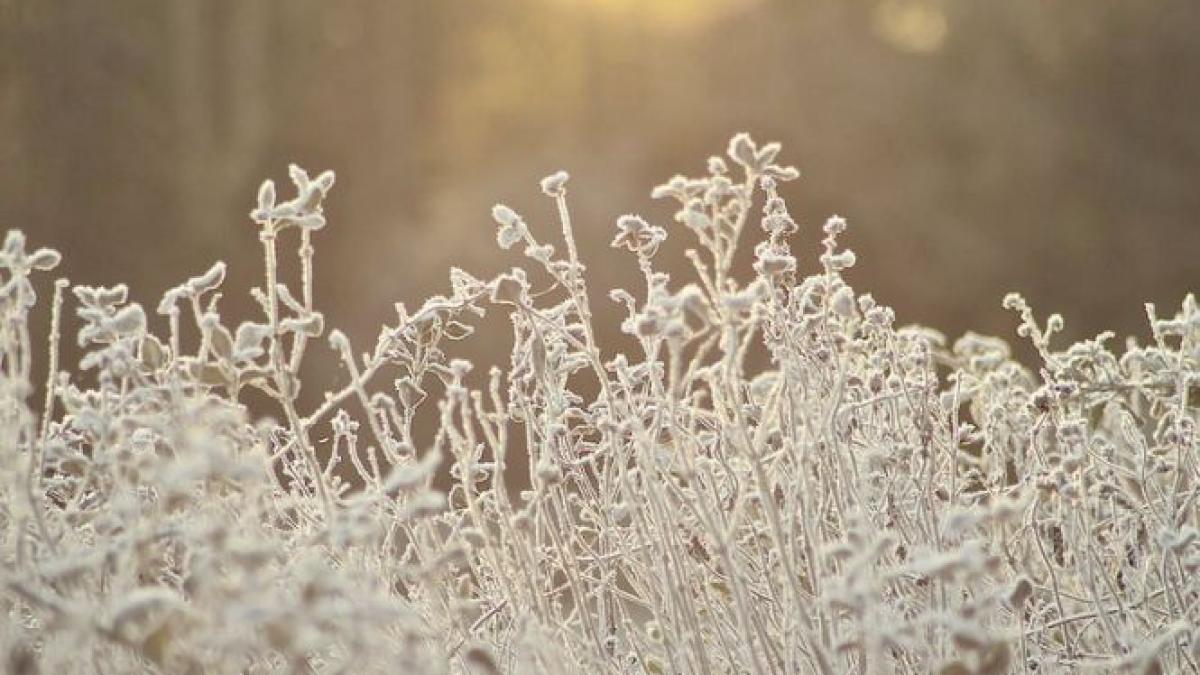 val de aer polar peste romania temperaturile scad pana la minus 25 de grade prognoza meteo pentru