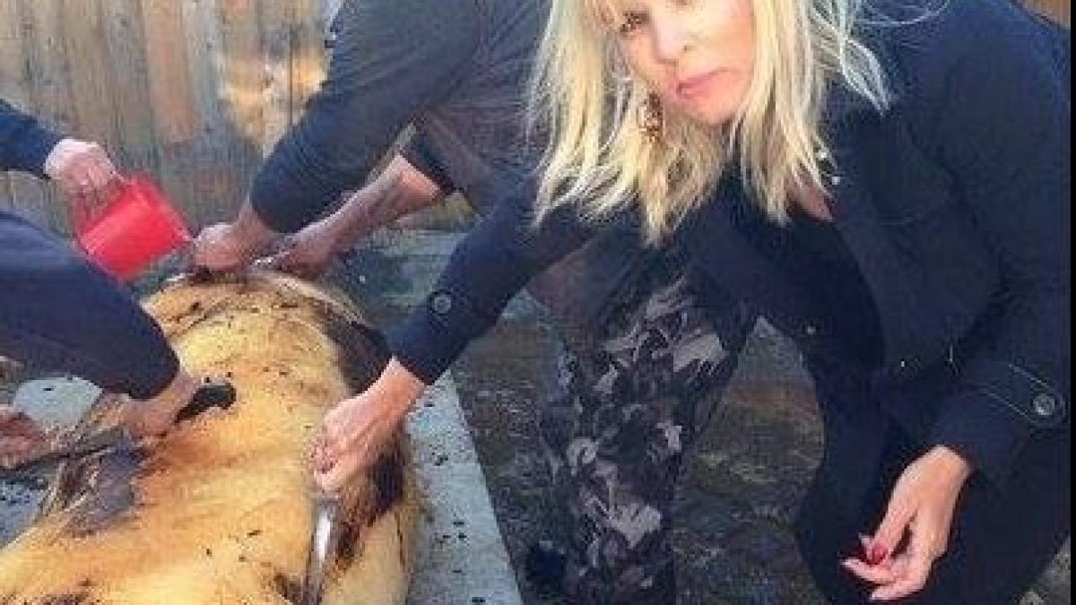 deziluzia optica dama de toba