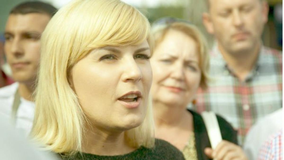 elena udrea isi incepe anul prin atacuri la adresa presedintelui klaus iohannis