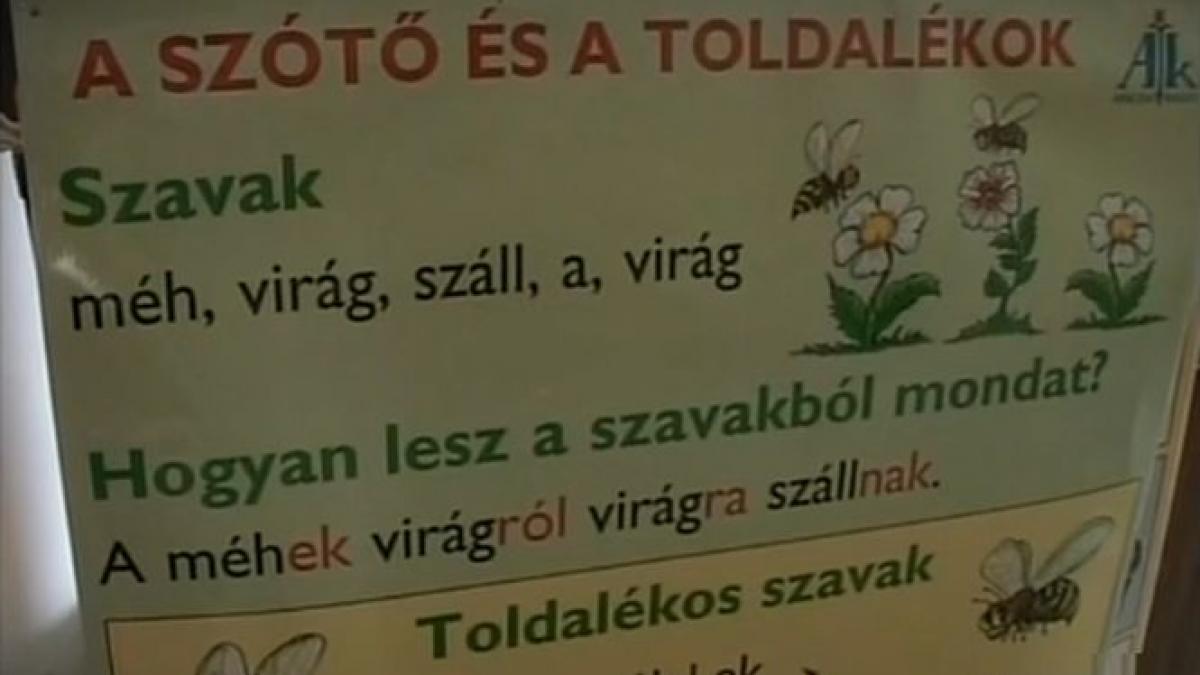 meditatii la limba romana pentru maghiari pe banii ungariei