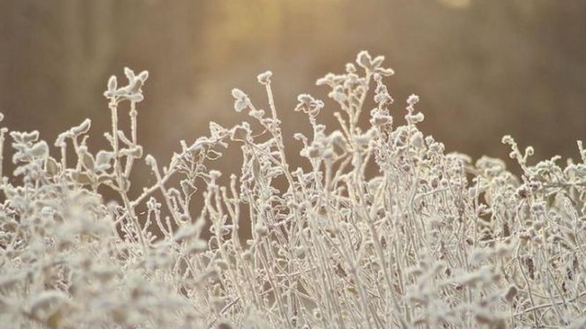 minus 28 8 grade celsius la intorsura buzaului anm urmeaza o noapte la fel de geroasa