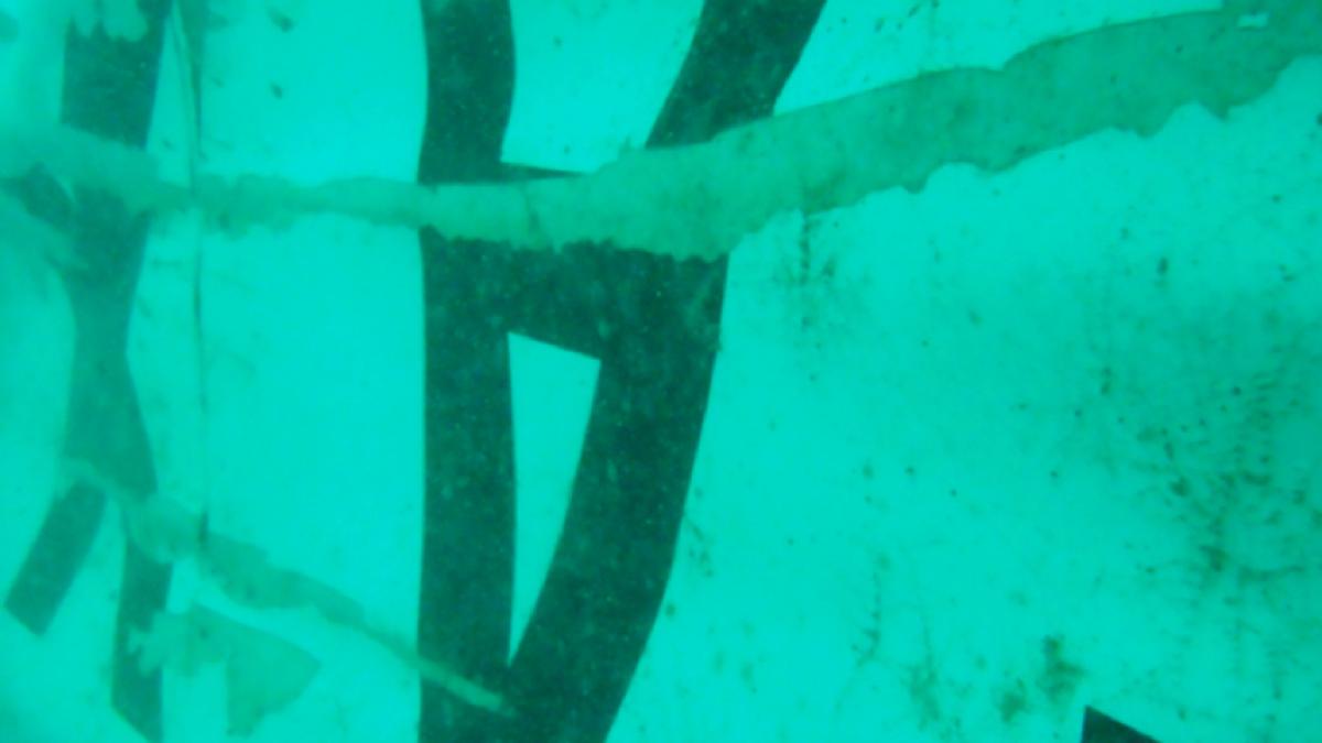 descoperire in marea java se aud sunetele care vin de la cutiile negre ale avionului