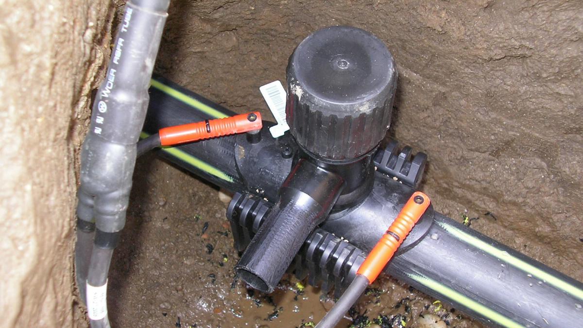 un interlop din iasi imparte locuinta cu un senator