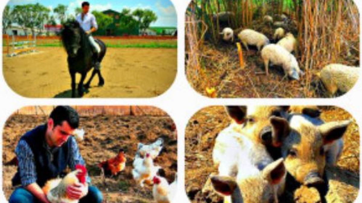 andreea stroe iti arata ce l a impins pe tenorul vlad mirita sa intre in randul fermierilor