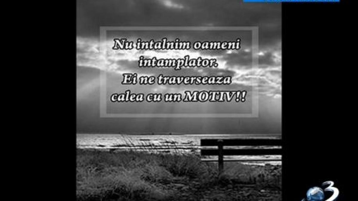 mircea badea comenteaza postarile de pe facebook ale lui tony poptamas credeam ca eu sunt succes pe